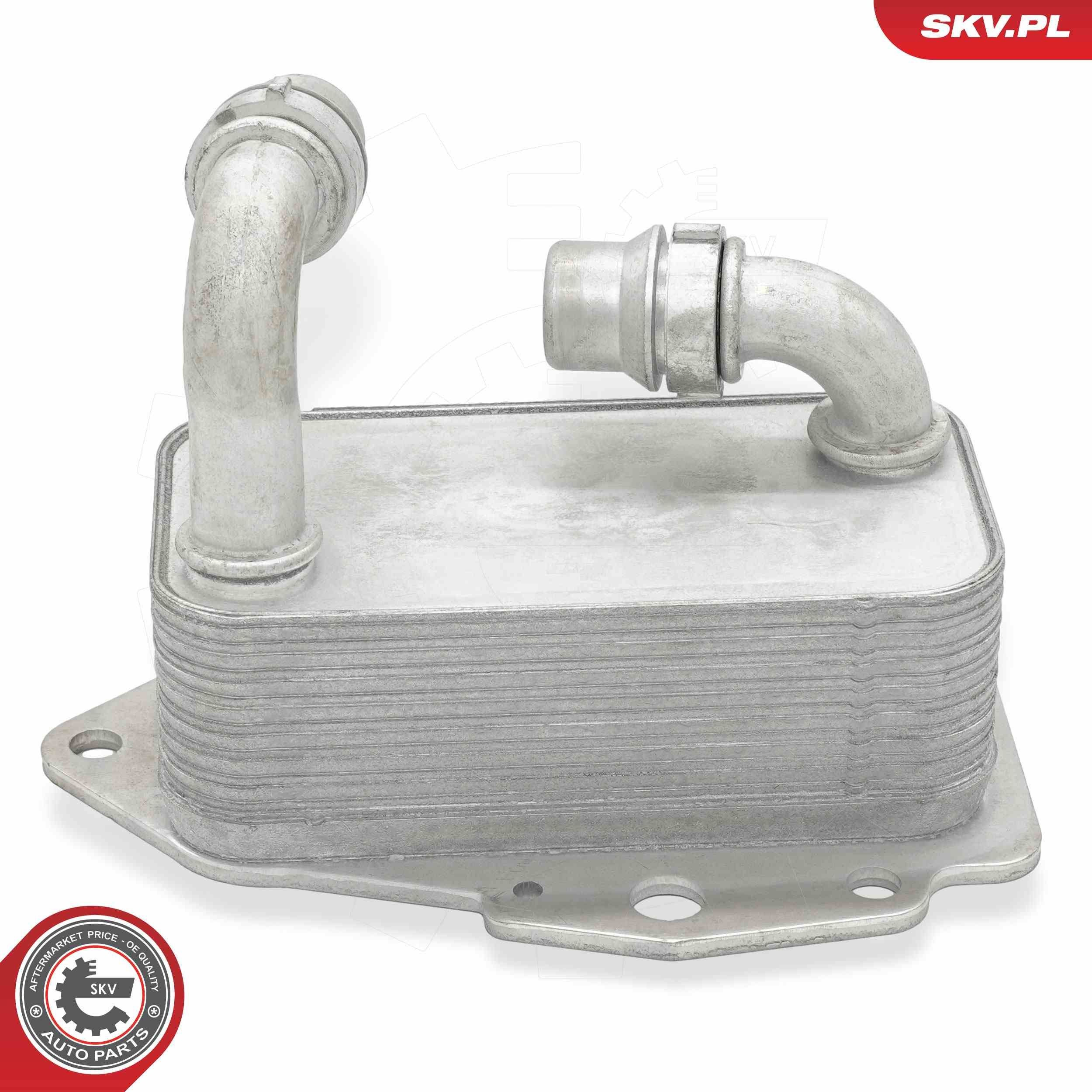 31SKV273 SKV